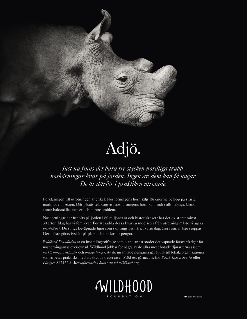 Wildhood Foundation