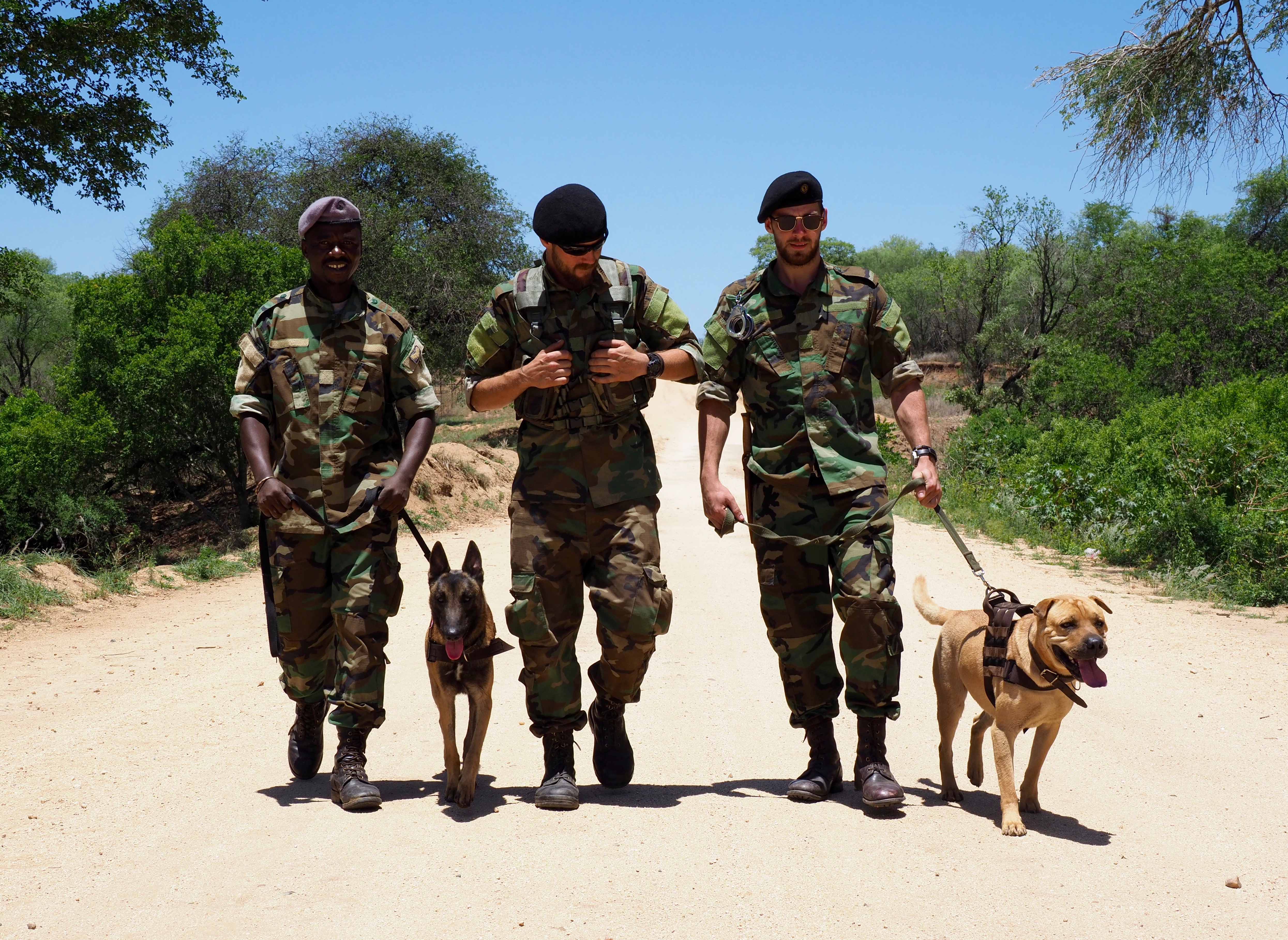 Wildhood Foundation dog patrol