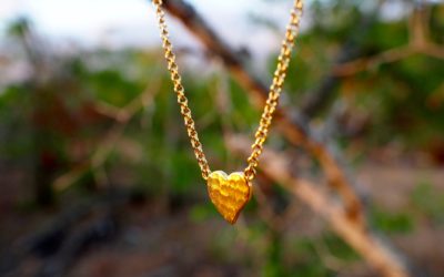 WILD HEART COLLECTION