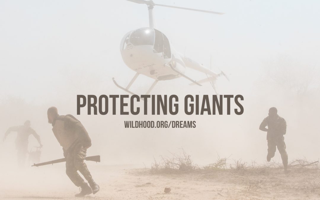 PROTECTING GIANTS
