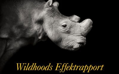 Effektrapport Q1