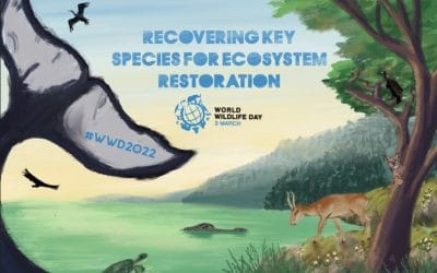 World Wildlife Day